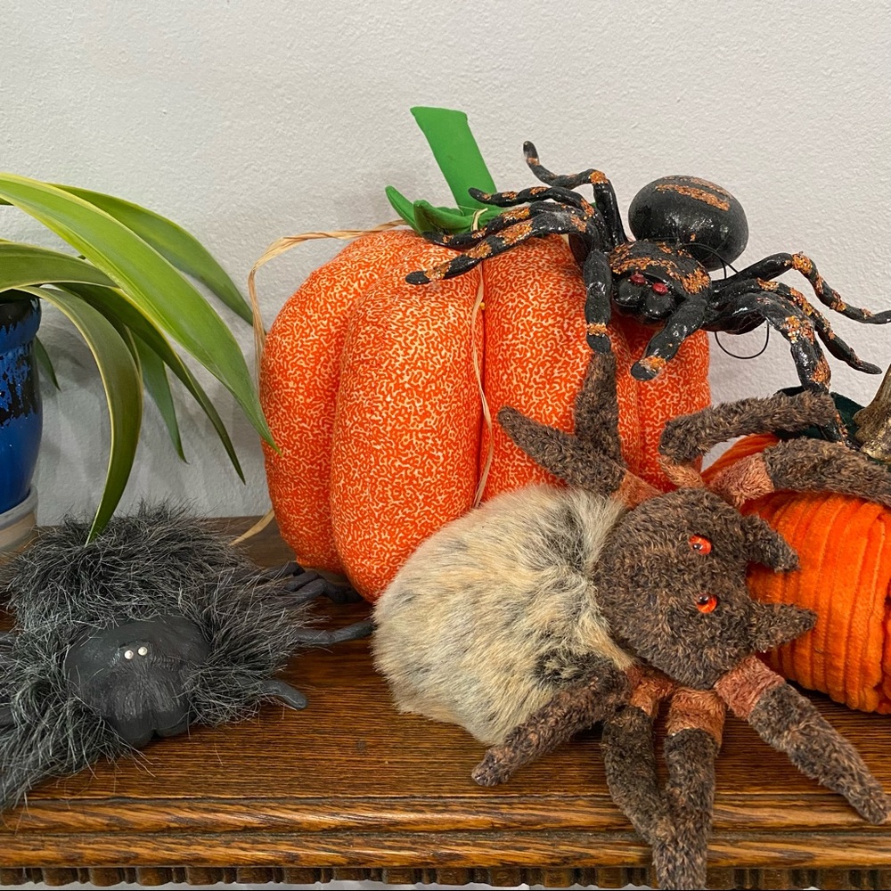 Three Spiders: Furry motion-activated, Glittery large black, Ty “Hairy”